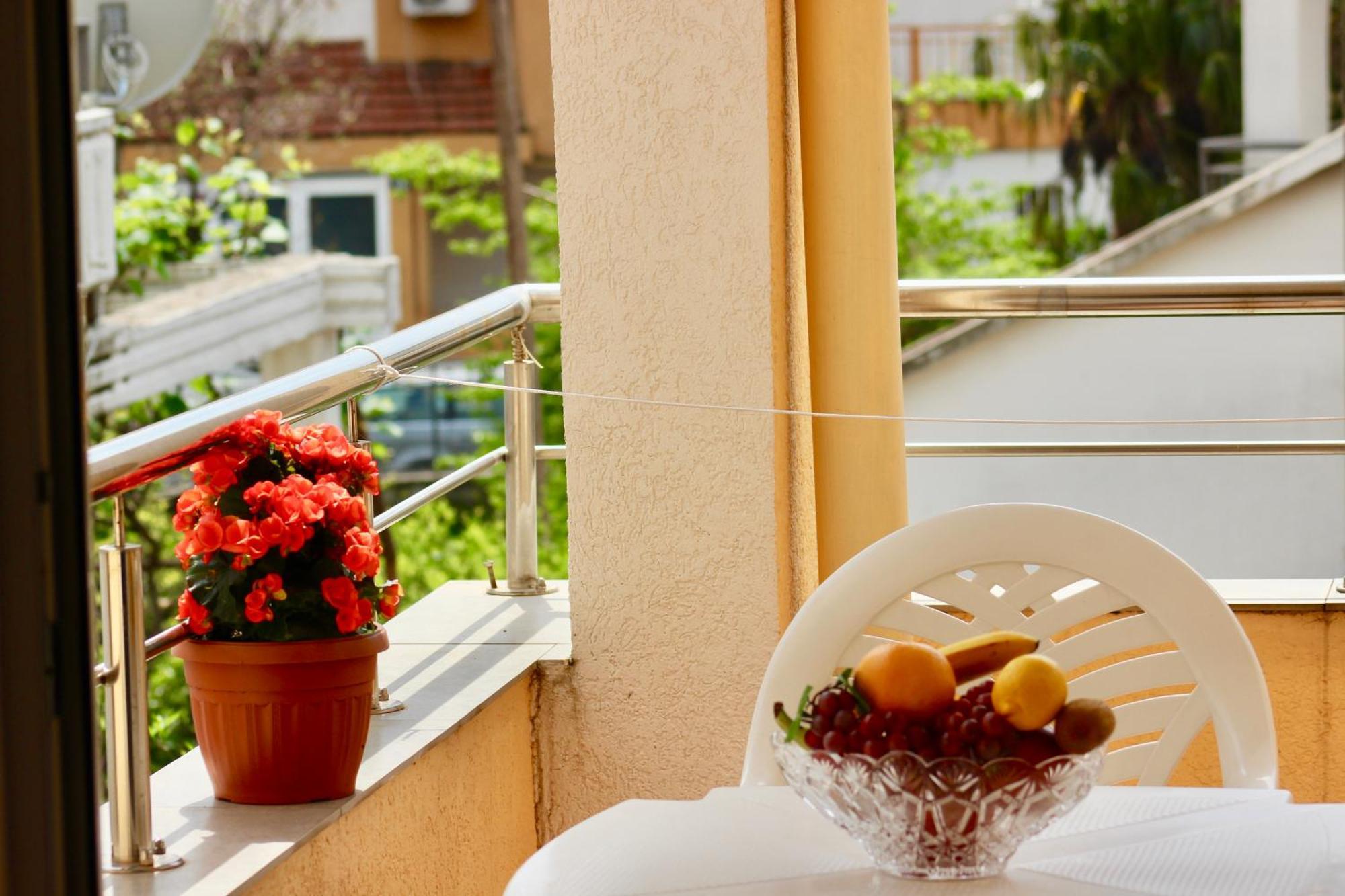 Studio Terrace