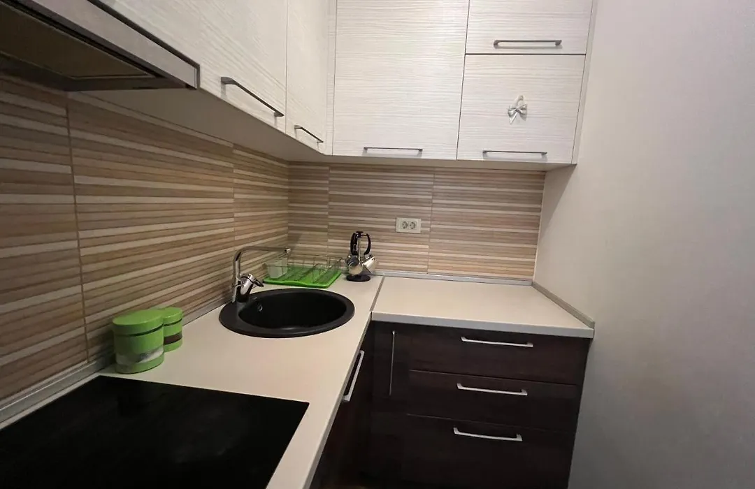 Apartment Zevs 2-1