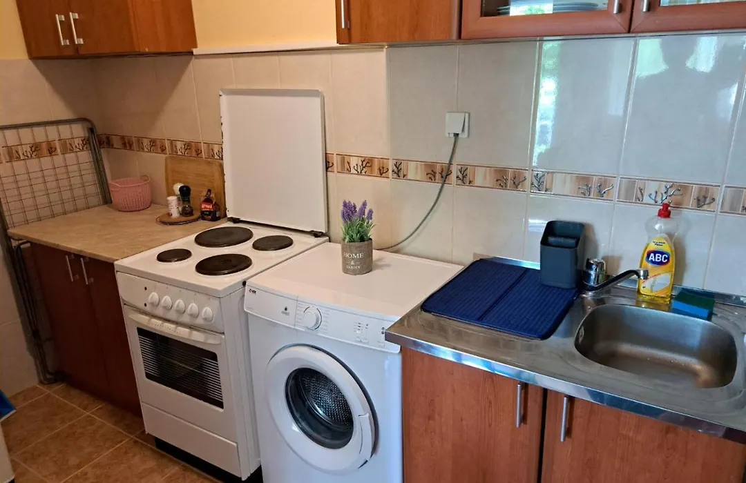Apartmani Ljumovic Budva-1