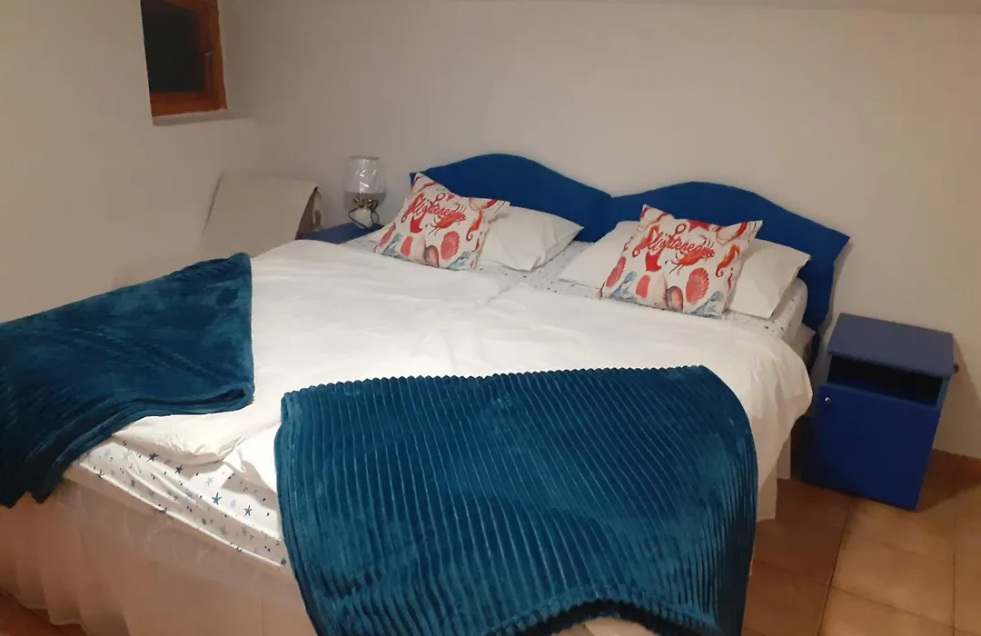 Guest House Vila Bak-1