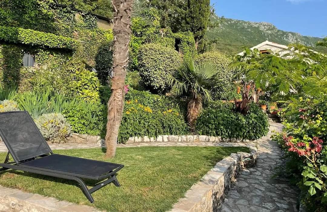 Mountains Villa Near Budva-1