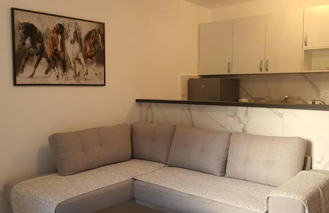 Apartments Adriatic-1