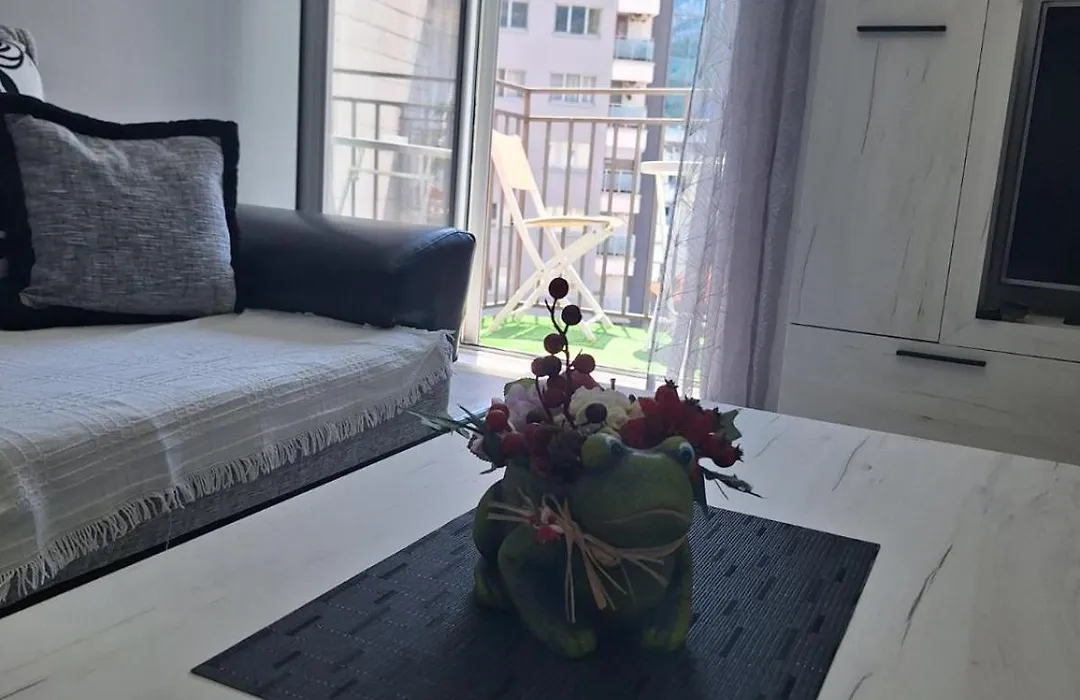 Center Apartment-1