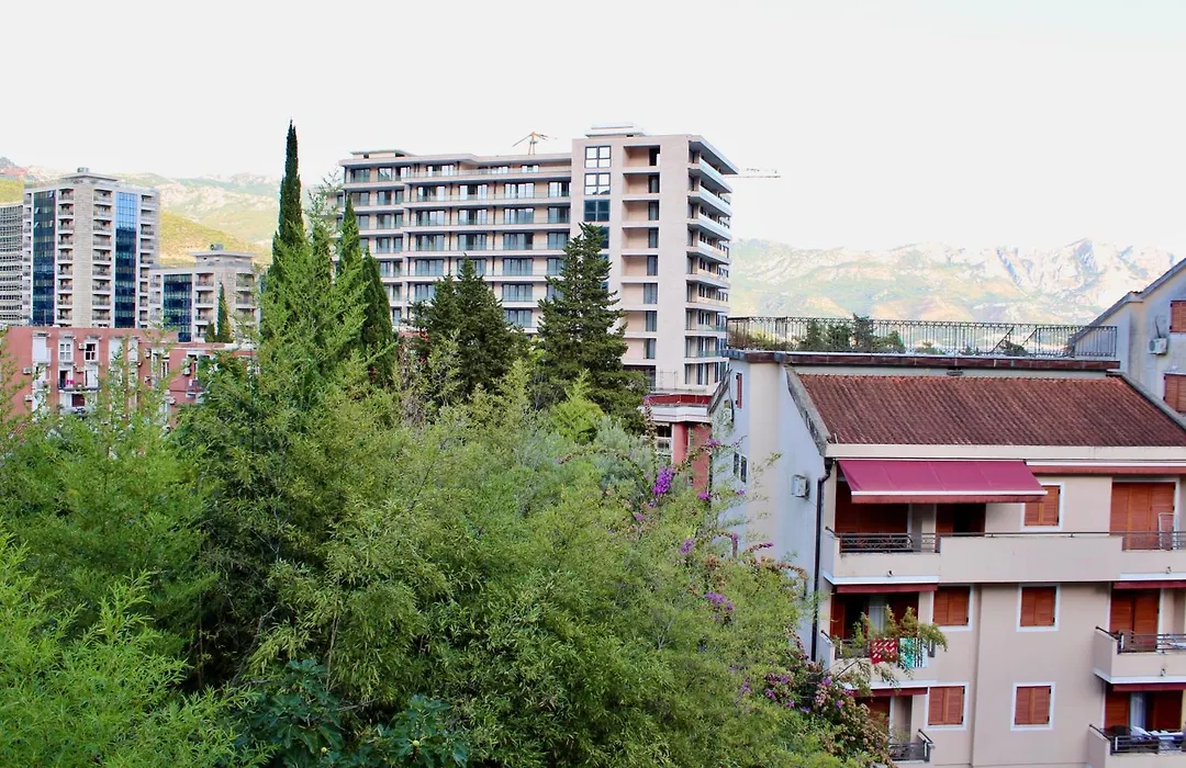 Guest House Mandarina-1
