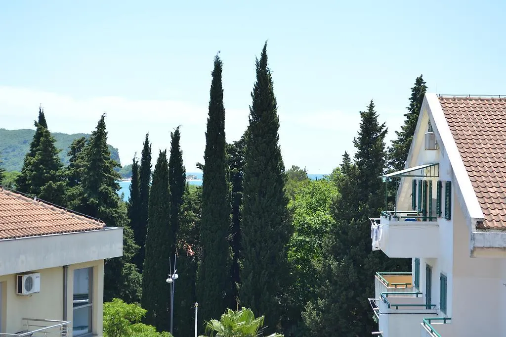 Hotel Kangaroo-1