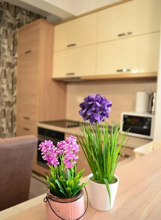 Crystal Apartment 2-1
