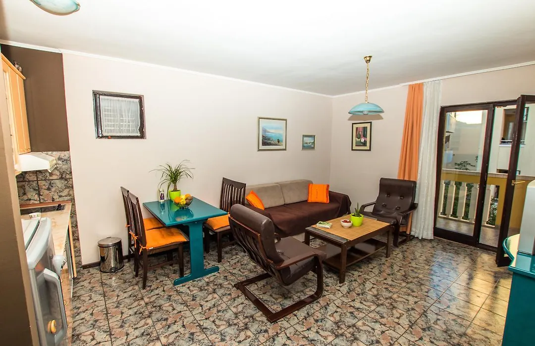 Sega Adzic Apartments-1