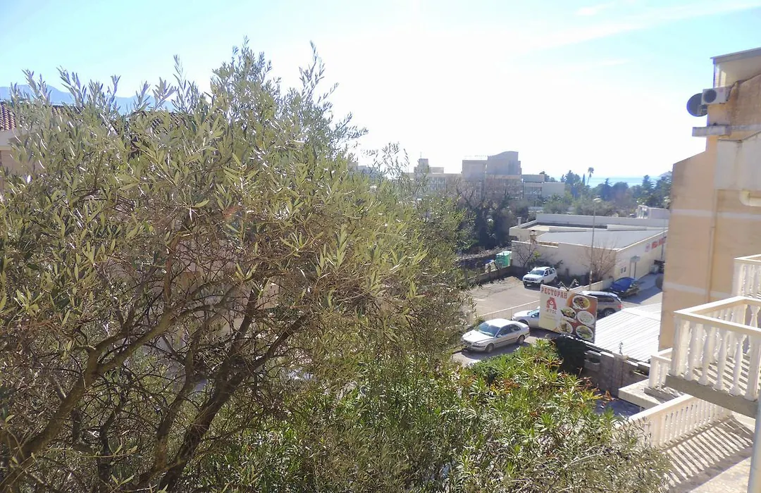 Guest House Jelena-1