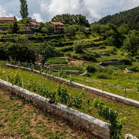 Alt Braic Villa-2