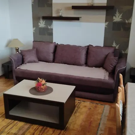 Rakocevic Apartments-2