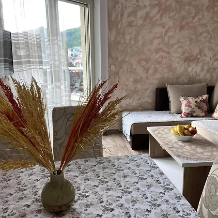 Apartment Dragan-3