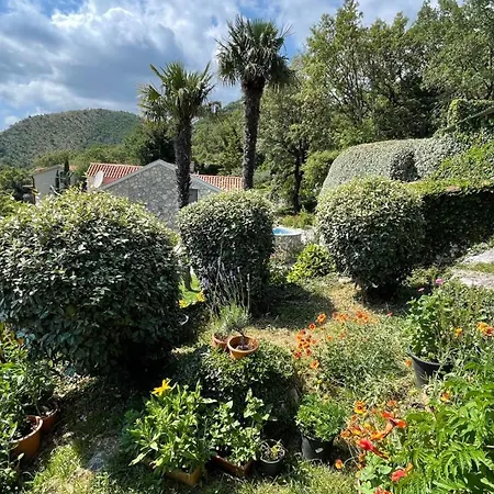 Mountains Villa Near Budva-2