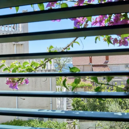 Apartman Zenta-3
