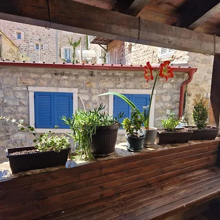Rooms Dana Old Town Budva-3