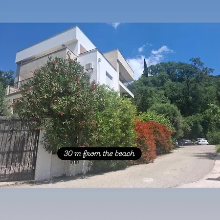 Apartments Villa Simonovic-2