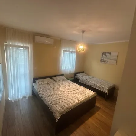 Home Scekic-2