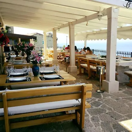 Olive Resort-2