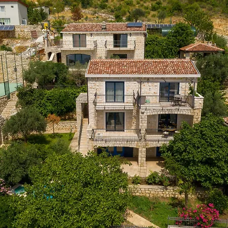 Olive Resort-3