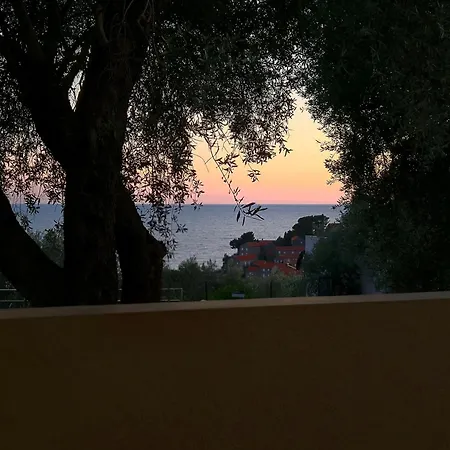 Guest House Sea Breeze-2