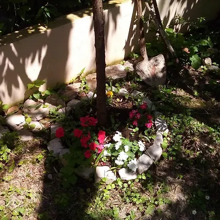 Oaza Guest House-2