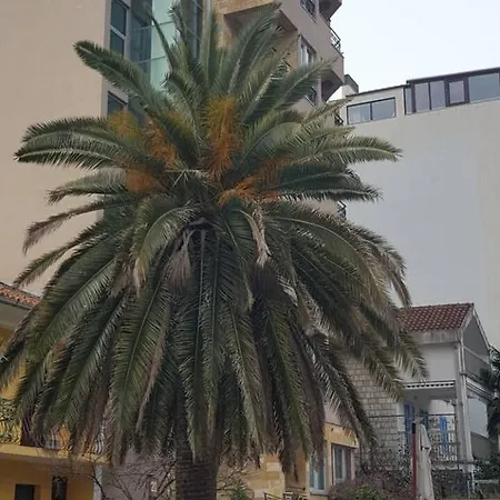 Apartman Centar Lux-3