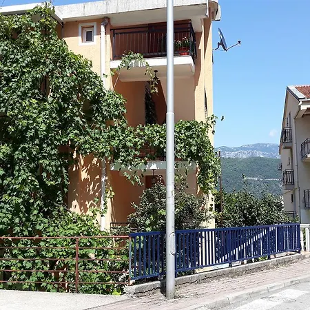 Guesthouse Djacic-3