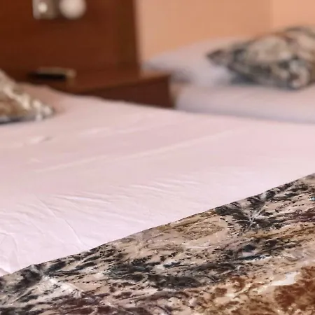 Hotel Mena-3