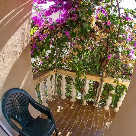 Guest House Lotos-3