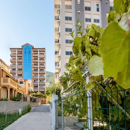 Apartment Gosposhtina 219-2