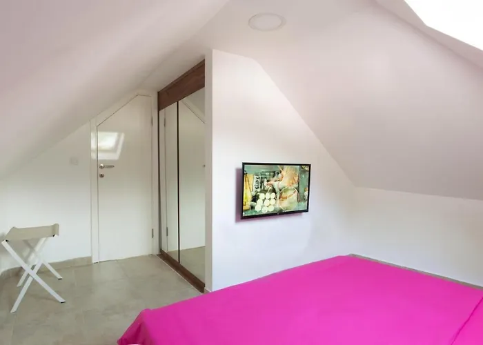 Apartment L Palace Budva acceptant les animaux