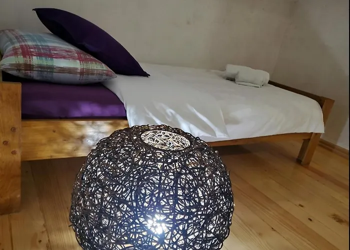 Pet friendly Apartment Maja Budva