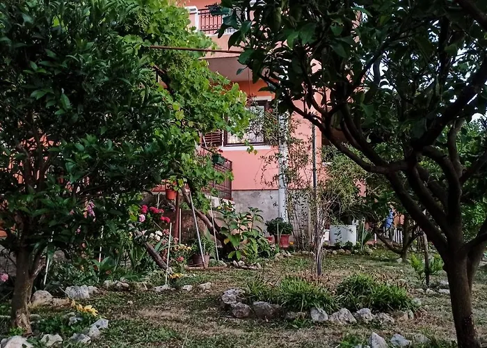 Apartments Forest Budva
