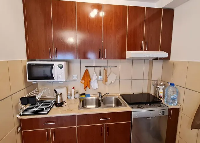 Apartman Elijana Budua che accetta animali