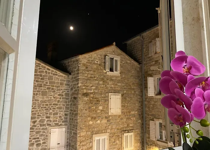 Vivav Apartment Budva