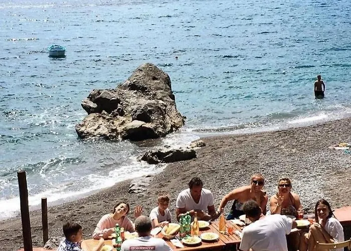 Pet friendly Riva Apartman Apartment Petrovac