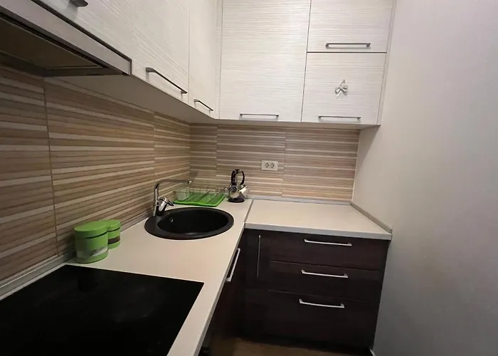 Apartment Zevs 2 Budua che accetta animali