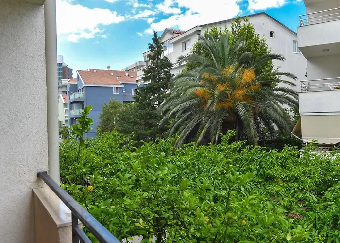 Pet friendly Villa Andrea Budva