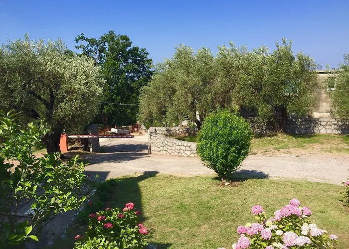 Pet friendly Apartments Tmv Dragovic Sveti Stefan