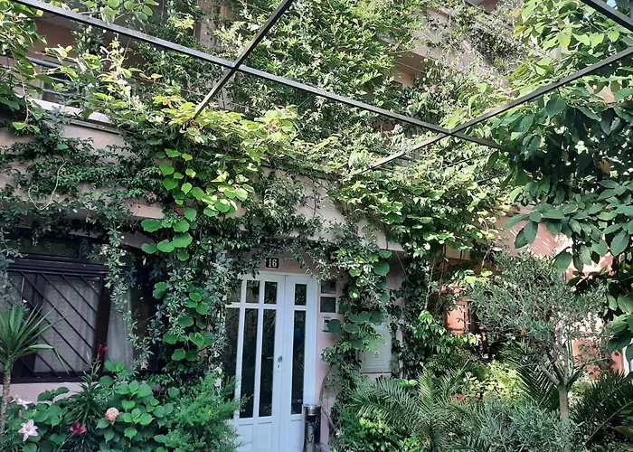 Apartments Stanivukovic Budva acceptant les animaux
