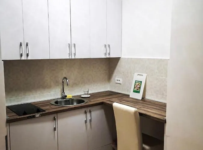 Huisdiervriedelijke Apartment Queen Milena Budva