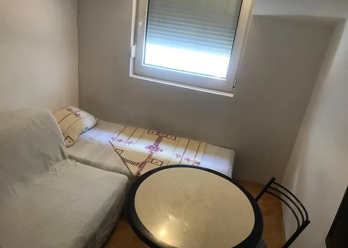 Pet friendly Apartman Vuk Budva