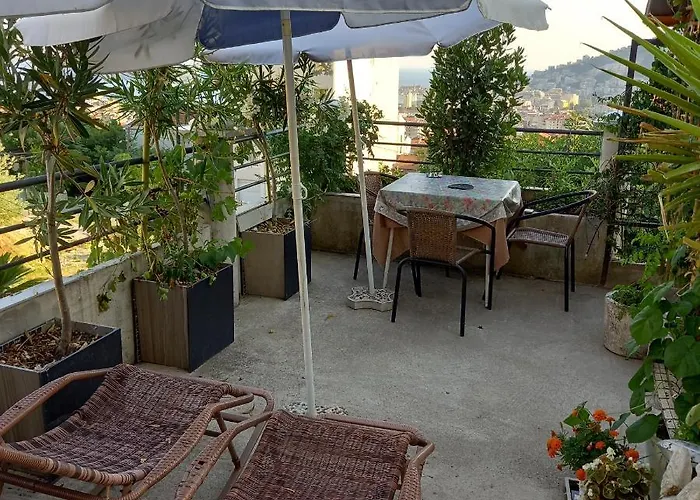 Bugenvilija Budva acceptant les animaux