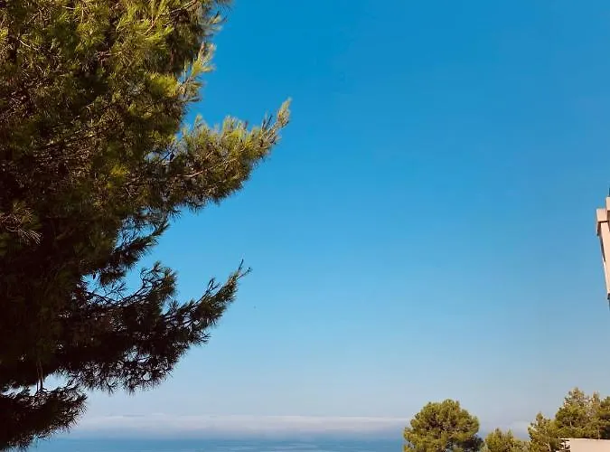 Apartman Drago Sveti Stefan Budva
