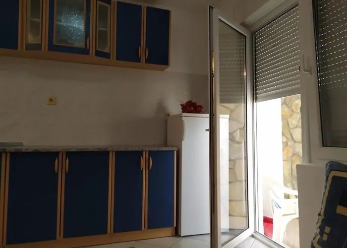 Terzic - Markovic Petrovac acceptant les animaux