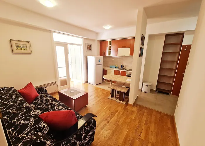 Centar New Loki Apartments Budua che accetta animali