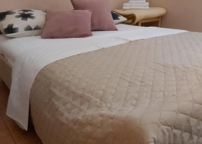Pet friendly Apartments Ant Budva