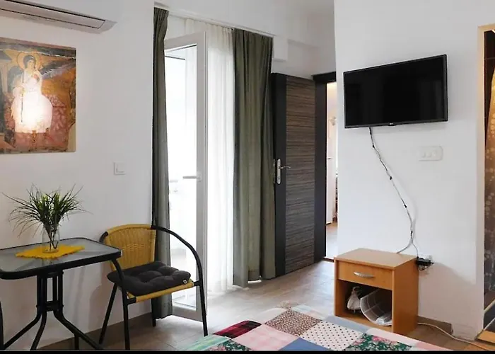 Pet friendly Apartments Lekic Budva