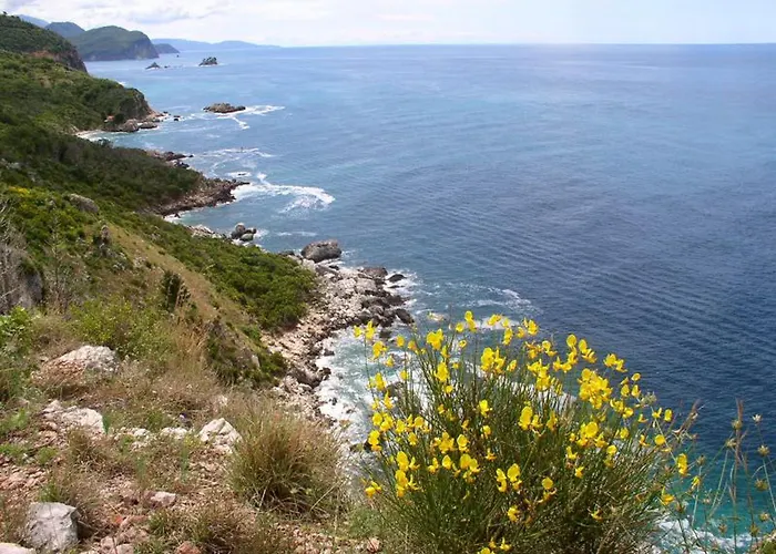 Hotels nahe Petrovac Quay