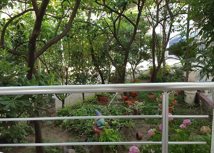 Apartmani Bonik Budva