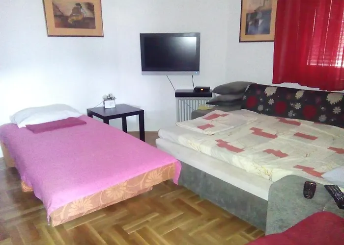 Apartmani Jazz Aleksandra Budva acceptant les animaux